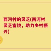 西河村的灵芝(西河村灵芝富饶，助力乡村振兴)