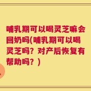 哺乳期可以喝灵芝嘛会回奶吗(哺乳期可以喝灵芝吗？对产后恢复有帮助吗？)