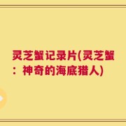 灵芝蟹记录片(灵芝蟹：神奇的海底猎人)