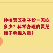 种植灵芝孢子粉一天吃多少？科学合理的灵芝孢子粉摄入量？