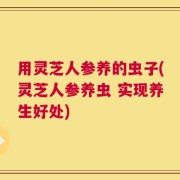 用灵芝人参养的虫子(灵芝人参养虫 实现养生好处)