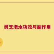 灵芝泡水功效与副作用