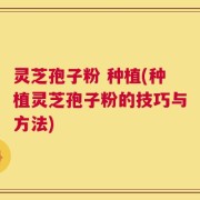 灵芝孢子粉 种植(种植灵芝孢子粉的技巧与方法)