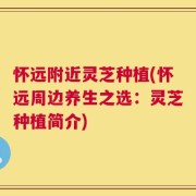 怀远附近灵芝种植(怀远周边养生之选：灵芝种植简介)