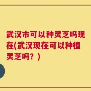 武汉市可以种灵芝吗现在(武汉现在可以种植灵芝吗？)