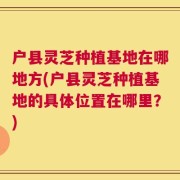户县灵芝种植基地在哪地方(户县灵芝种植基地的具体位置在哪里？)