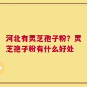 河北有灵芝孢子粉？灵芝孢子粉有什么好处