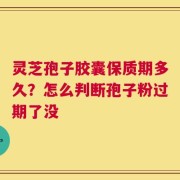 灵芝孢子胶囊保质期多久？怎么判断孢子粉过期了没