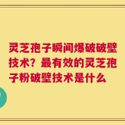 灵芝孢子瞬间爆破破壁技术？最有效的灵芝孢子粉破壁技术是什么