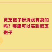 灵芝孢子粉沂水有卖的吗？哪里可以买到灵芝孢子
