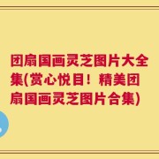 团扇国画灵芝图片大全集(赏心悦目！精美团扇国画灵芝图片合集)