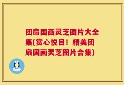 团扇国画灵芝图片大全集(赏心悦目！精美团扇国画灵芝图片合集)