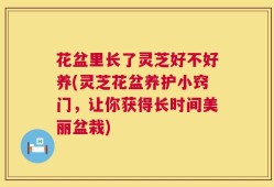 花盆里长了灵芝好不好养(灵芝花盆养护小窍门，让你获得长时间美丽盆栽)