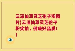 云深仙草灵芝孢子粉图片(云深仙草灵芝孢子粉实拍，健康好品质！)