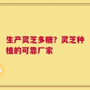 生产灵芝多糖？灵芝种植的可靠厂家