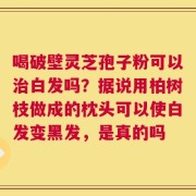喝破壁灵芝孢子粉可以治白发吗？据说用柏树枝做成的枕头可以使白发变黑发，是真的吗