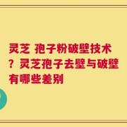 灵芝 孢子粉破壁技术？灵芝孢子去壁与破壁有哪些差别
