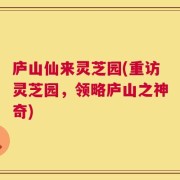 庐山仙来灵芝园(重访灵芝园，领略庐山之神奇)