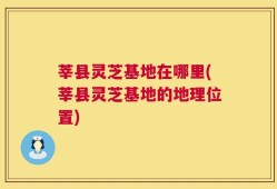 莘县灵芝基地在哪里(莘县灵芝基地的地理位置)