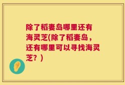 除了稻妻岛哪里还有 海灵芝(除了稻妻岛，还有哪里可以寻找海灵芝？)