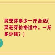 灵芝芽多少一斤合适(灵芝芽价格适中，一斤多少钱？)