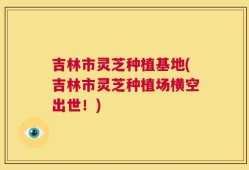 吉林市灵芝种植基地(吉林市灵芝种植场横空出世！)