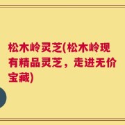 松木岭灵芝(松木岭现有精品灵芝，走进无价宝藏)