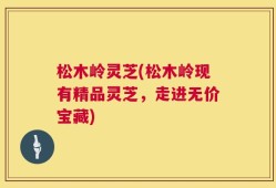 松木岭灵芝(松木岭现有精品灵芝，走进无价宝藏)