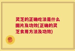 灵芝的正确吃法是什么图片及功效(正确的灵芝食用方法及功效)