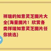 祥瑞的如意灵芝图片大全(海量图片！欣赏各类祥瑞如意灵芝图片任你挑选)