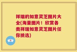 祥瑞的如意灵芝图片大全(海量图片！欣赏各类祥瑞如意灵芝图片任你挑选)