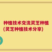 种植技术交流灵芝种植(灵芝种植技术分享)