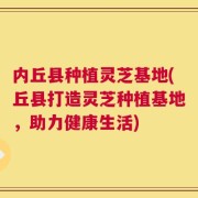 内丘县种植灵芝基地(丘县打造灵芝种植基地，助力健康生活)