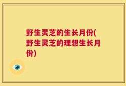 野生灵芝的生长月份(野生灵芝的理想生长月份)