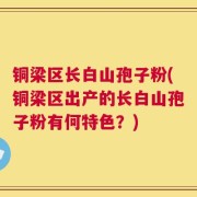 铜梁区长白山孢子粉(铜梁区出产的长白山孢子粉有何特色？)