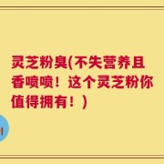 灵芝粉臭(不失营养且香喷喷！这个灵芝粉你值得拥有！)
