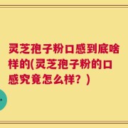 灵芝孢子粉口感到底啥样的(灵芝孢子粉的口感究竟怎么样？)