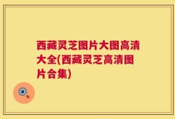 西藏灵芝图片大图高清大全(西藏灵芝高清图片合集)