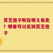 灵芝孢子粉在哪儿有卖？哪里可以买到灵芝孢子