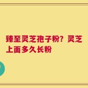 臻至灵芝孢子粉？灵芝上面多久长粉