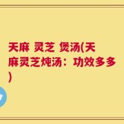 天麻 灵芝 煲汤(天麻灵芝炖汤：功效多多)