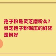 孢子粉是灵芝磨粉么？灵芝孢子粉碾压的好还是粉好