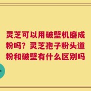 灵芝可以用破壁机磨成粉吗？灵芝孢子粉头道粉和破壁有什么区别吗