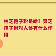 林芝孢子粉是啥？灵芝孢子粉对人体有什么作用