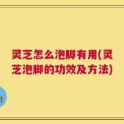 灵芝怎么泡脚有用(灵芝泡脚的功效及方法)