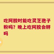 吃阿胶时能吃灵芝孢子粉吗？晚上吃阿胶会胖吗