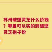 苏州破壁灵芝什么价钱？哪里可以买的到破壁灵芝孢子粉
