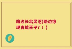 路边长出灵芝(路边惊现青蛙王子？！)