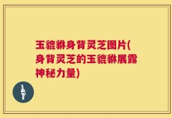 玉貔貅身背灵芝图片(身背灵芝的玉貔貅展露神秘力量)