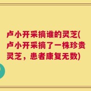 卢小开采摘谁的灵芝(卢小开采摘了一株珍贵灵芝，患者康复无数)